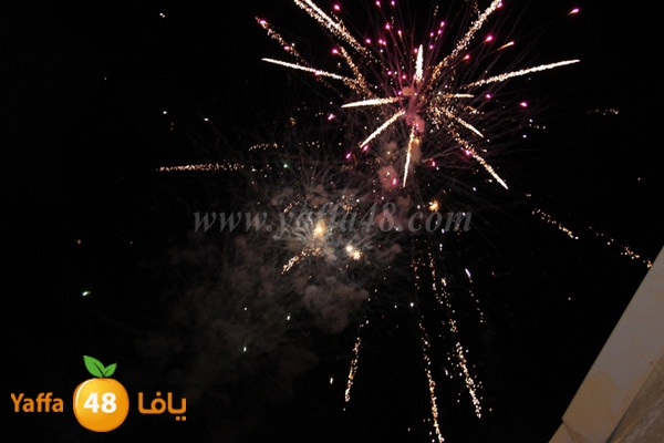 tree milad shajara (67).JPG